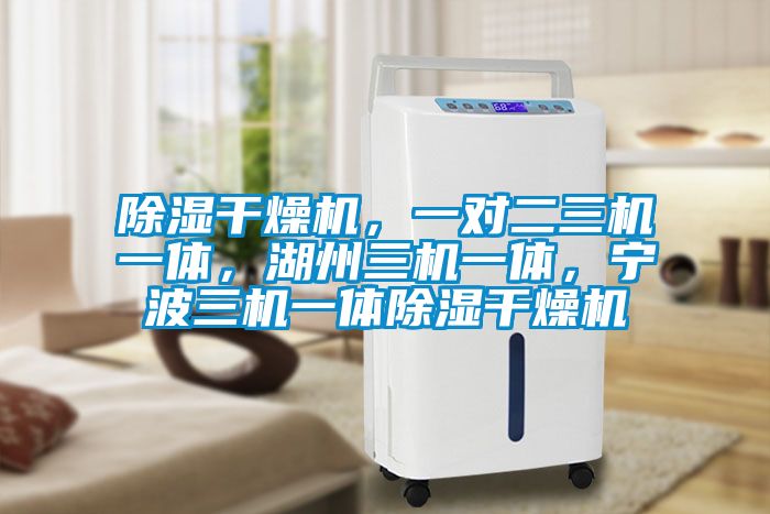 除濕干燥機(jī)，一對(duì)二三機(jī)一體，湖州三機(jī)一體，寧波三機(jī)一體除濕干燥機(jī)