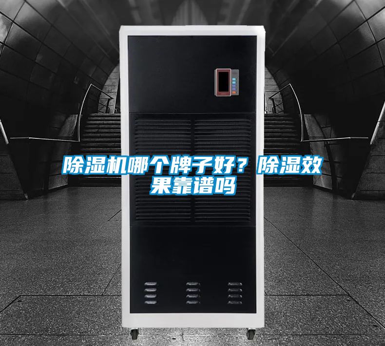 除濕機哪個牌子好？除濕效果靠譜嗎