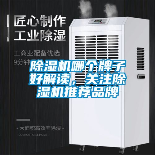 除濕機(jī)哪個(gè)牌子好解讀，關(guān)注除濕機(jī)推薦品牌