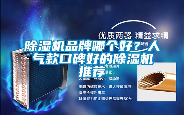 除濕機(jī)品牌哪個(gè)好？人氣款口碑好的除濕機(jī)推薦