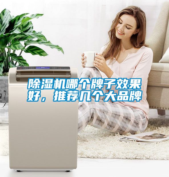 除濕機(jī)哪個牌子效果好，推薦幾個大品牌