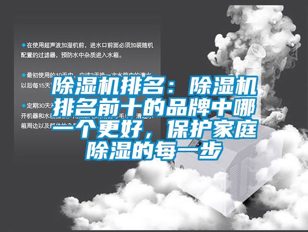 除濕機(jī)排名：除濕機(jī)排名前十的品牌中哪一個更好，保護(hù)家庭除濕的每一步