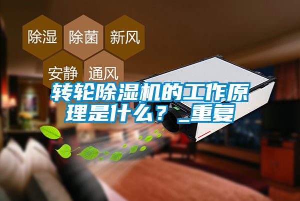 轉(zhuǎn)輪除濕機的工作原理是什么？_重復(fù)