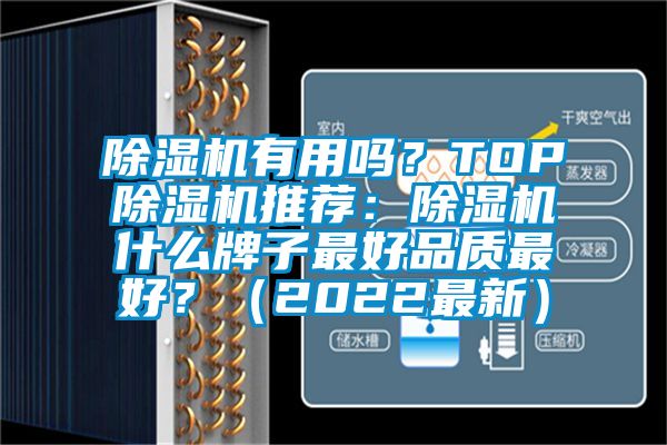 除濕機(jī)有用嗎？TOP除濕機(jī)推薦：除濕機(jī)什么牌子最好品質(zhì)最好？（2022最新）
