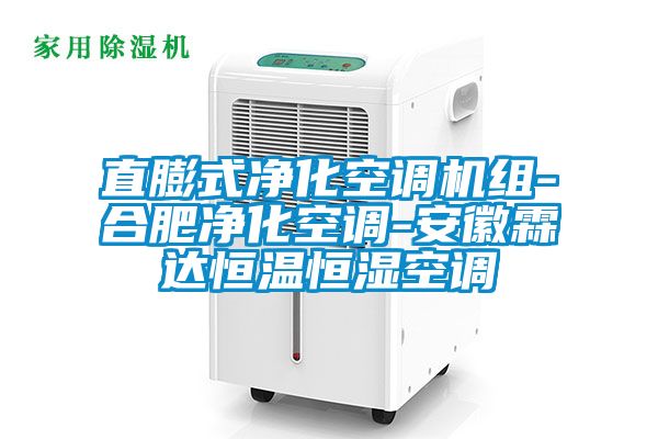 直膨式凈化空調(diào)機組-合肥凈化空調(diào)-安徽霖達(dá)恒溫恒濕空調(diào)