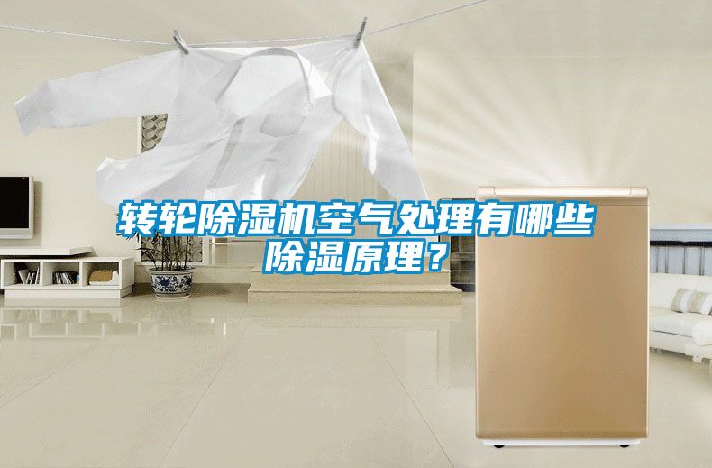 轉(zhuǎn)輪除濕機(jī)空氣處理有哪些除濕原理？