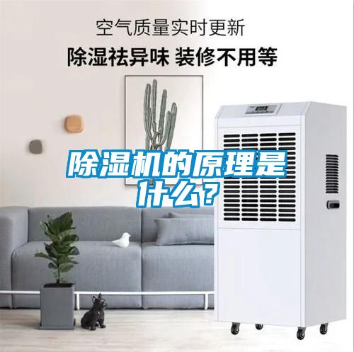 除濕機的原理是什么？
