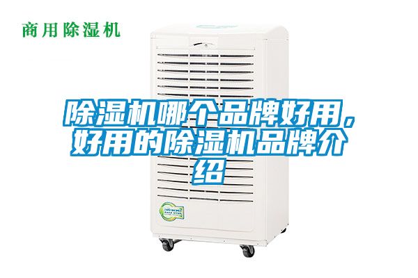 除濕機(jī)哪個(gè)品牌好用，好用的除濕機(jī)品牌介紹