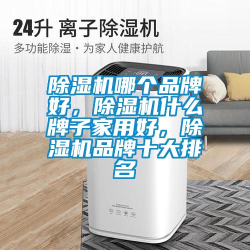除濕機(jī)哪個(gè)品牌好，除濕機(jī)什么牌子家用好，除濕機(jī)品牌十大排名