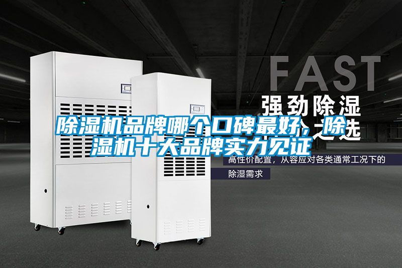 除濕機(jī)品牌哪個(gè)口碑最好，除濕機(jī)十大品牌實(shí)力見證