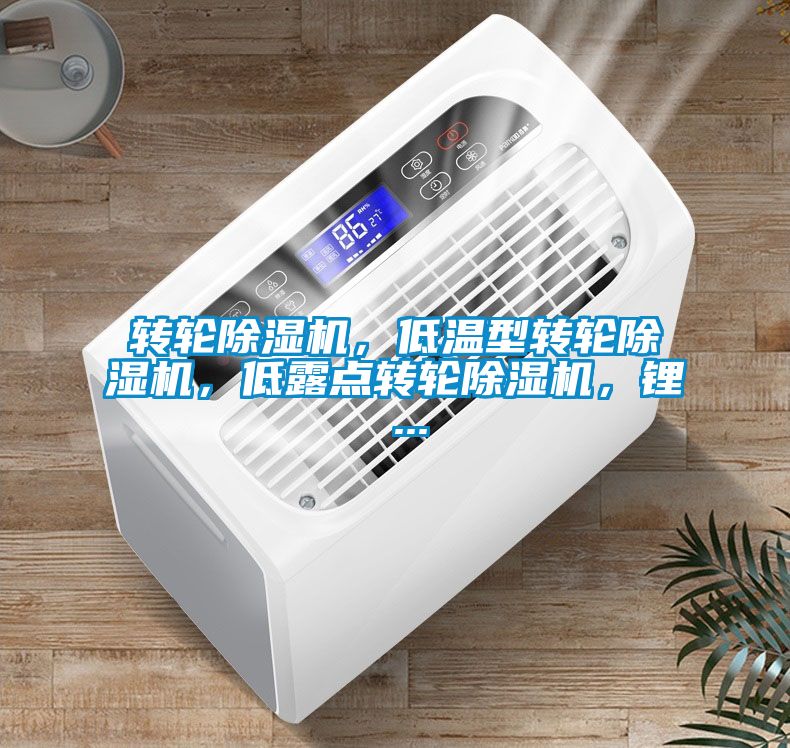 轉(zhuǎn)輪除濕機(jī)，低溫型轉(zhuǎn)輪除濕機(jī)，低露點(diǎn)轉(zhuǎn)輪除濕機(jī)，鋰 ...