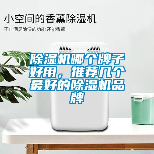 除濕機(jī)哪個(gè)牌子好用，推薦幾個(gè)最好的除濕機(jī)品牌