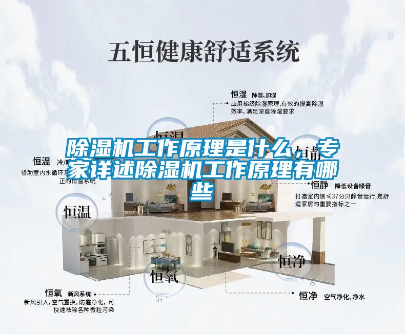 除濕機工作原理是什么，專家詳述除濕機工作原理有哪些