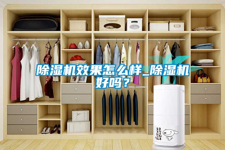 除濕機(jī)效果怎么樣_除濕機(jī)好嗎？