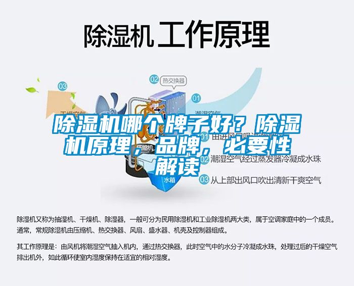 除濕機(jī)哪個(gè)牌子好？除濕機(jī)原理，品牌，必要性解讀
