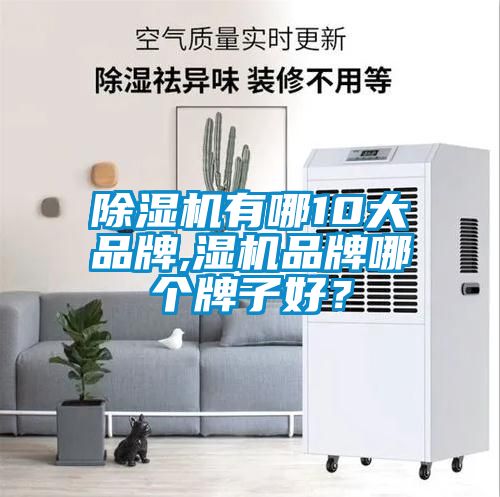 除濕機(jī)有哪10大品牌,濕機(jī)品牌哪個(gè)牌子好？