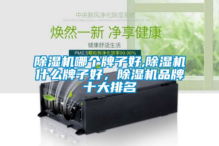 除濕機(jī)哪個(gè)牌子好,除濕機(jī)什么牌子好，除濕機(jī)品牌十大排名