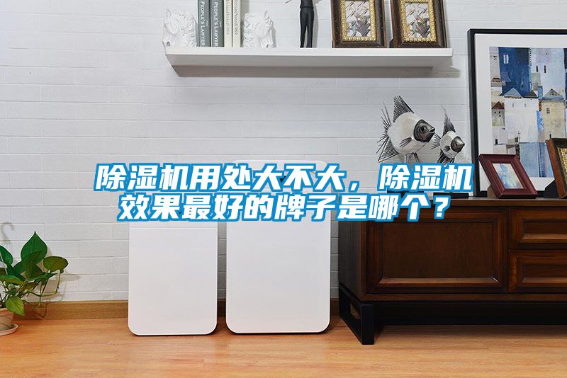 除濕機用處大不大，除濕機效果最好的牌子是哪個？