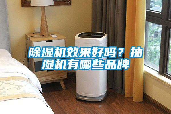 除濕機效果好嗎？抽濕機有哪些品牌