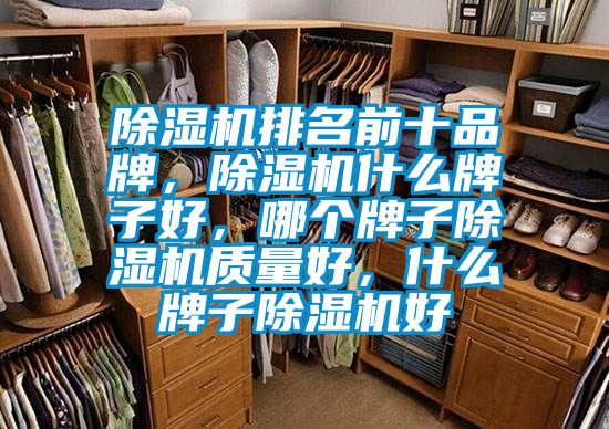 除濕機排名前十品牌，除濕機什么牌子好，哪個牌子除濕機質(zhì)量好，什么牌子除濕機好