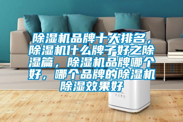 除濕機(jī)品牌十大排名，除濕機(jī)什么牌子好之除濕篇，除濕機(jī)品牌哪個(gè)好，哪個(gè)品牌的除濕機(jī)除濕效果好