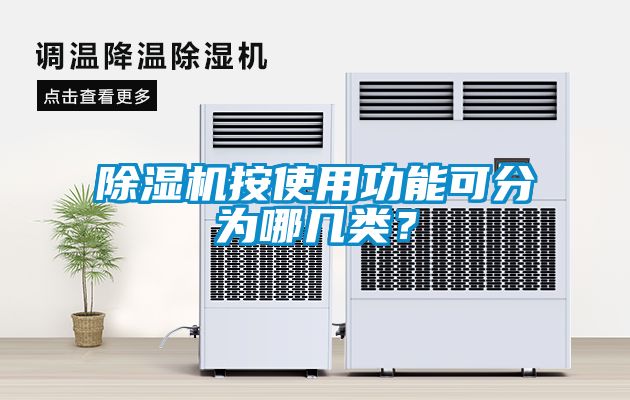 除濕機按使用功能可分為哪幾類？
