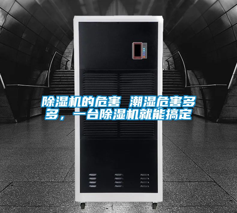 除濕機(jī)的危害 潮濕危害多多，一臺除濕機(jī)就能搞定