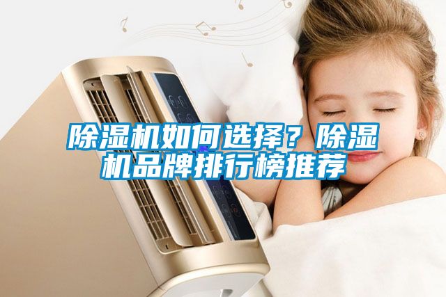 除濕機(jī)如何選擇？除濕機(jī)品牌排行榜推薦