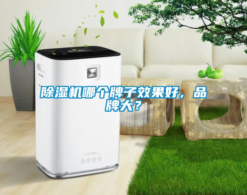 除濕機(jī)哪個(gè)牌子效果好，品牌大？