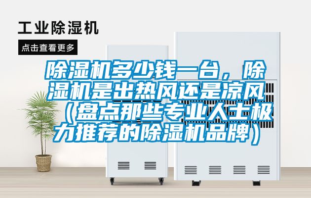 除濕機多少錢一臺，除濕機是出熱風還是涼風（盤點那些專業(yè)人士極力推薦的除濕機品牌）