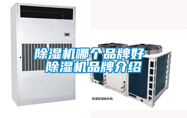 除濕機(jī)哪個品牌好 除濕機(jī)品牌介紹