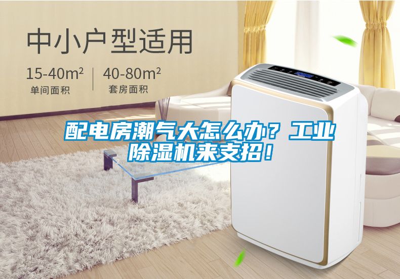 配電房潮氣大怎么辦？工業(yè)除濕機(jī)來支招！