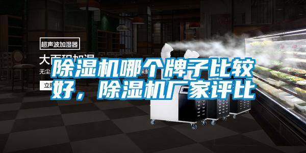 除濕機哪個牌子比較好，除濕機廠家評比