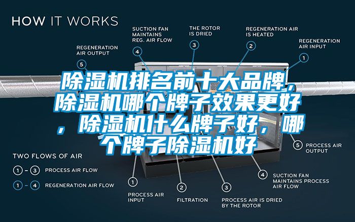 除濕機排名前十大品牌，除濕機哪個牌子效果更好，除濕機什么牌子好，哪個牌子除濕機好