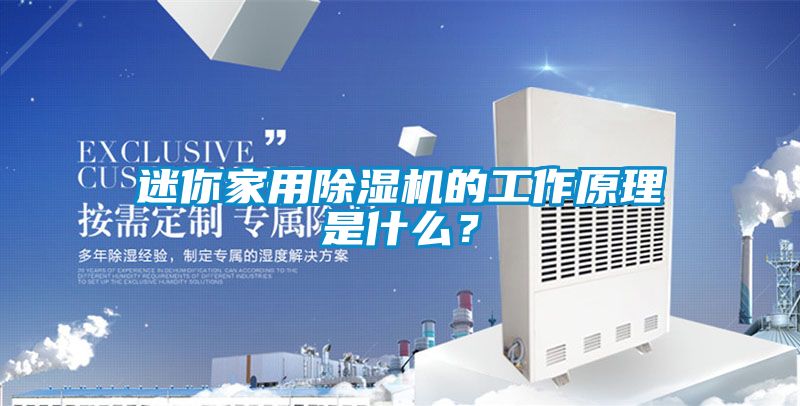 迷你家用除濕機的工作原理是什么？