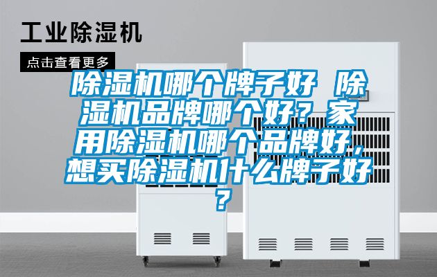 除濕機哪個牌子好 除濕機品牌哪個好？家用除濕機哪個品牌好，想買除濕機什么牌子好？