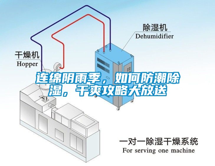 連綿陰雨季，如何防潮除濕，干爽攻略大放送