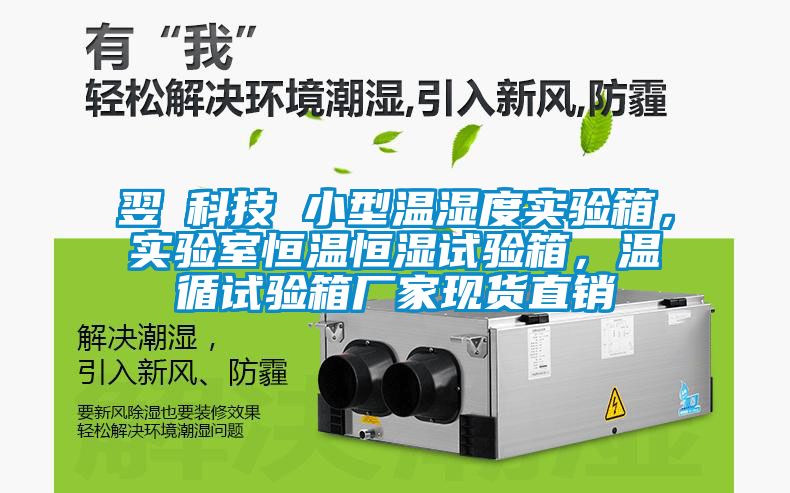 翌昇科技 小型溫濕度實(shí)驗(yàn)箱，實(shí)驗(yàn)室恒溫恒濕試驗(yàn)箱，溫循試驗(yàn)箱廠家現(xiàn)貨直銷