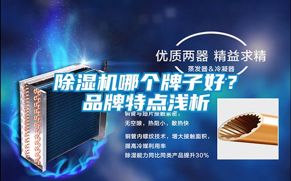 除濕機(jī)哪個牌子好？品牌特點(diǎn)淺析