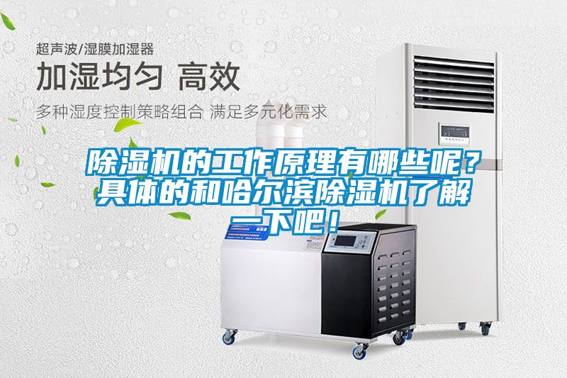 除濕機(jī)的工作原理有哪些呢？具體的和哈爾濱除濕機(jī)了解一下吧！