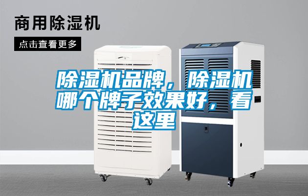 除濕機品牌，除濕機哪個牌子效果好，看這里