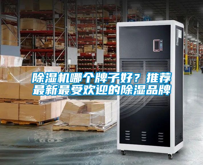 除濕機哪個牌子好？推薦最新最受歡迎的除濕品牌