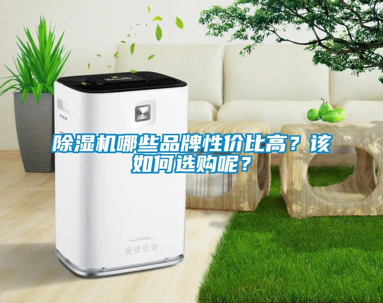除濕機(jī)哪些品牌性價(jià)比高？該如何選購呢？