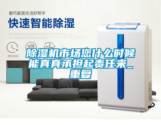 除濕機市場您什么時候能真真承擔起責(zé)任來_重復(fù)