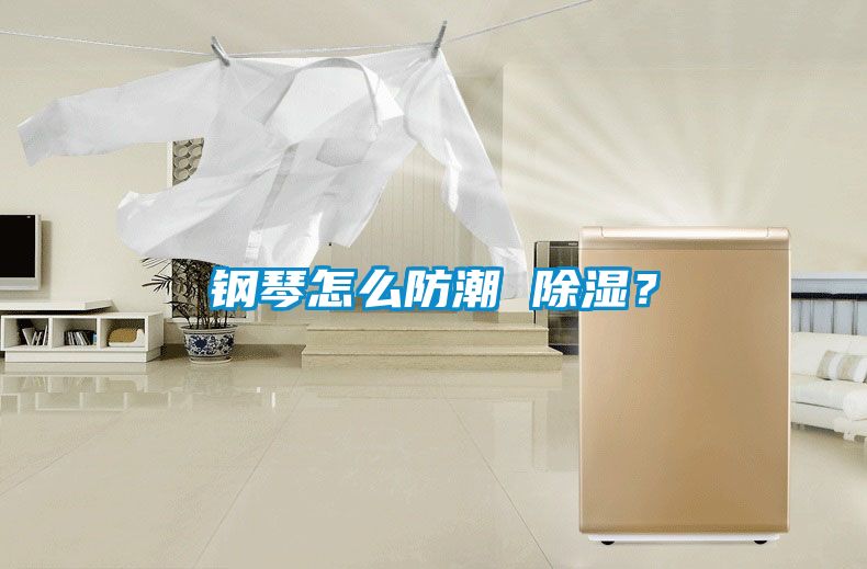 鋼琴怎么防潮 除濕？