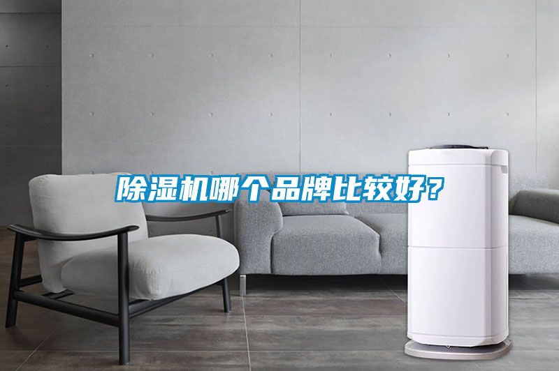 除濕機(jī)哪個品牌比較好？