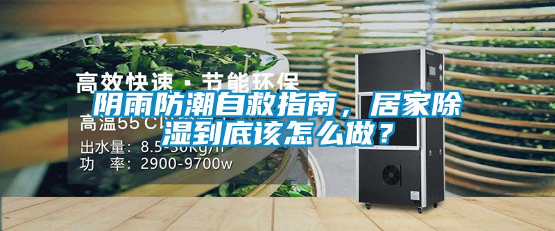 陰雨防潮自救指南，居家除濕到底該怎么做？