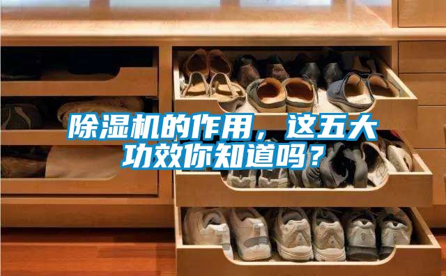 除濕機的作用，這五大功效你知道嗎？