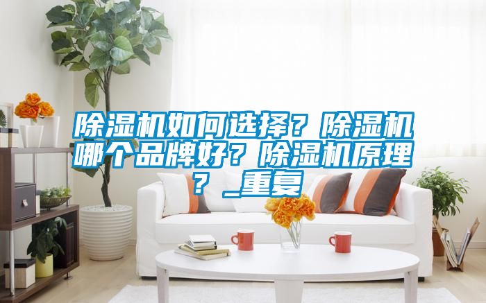 除濕機(jī)如何選擇？除濕機(jī)哪個(gè)品牌好？除濕機(jī)原理？_重復(fù)