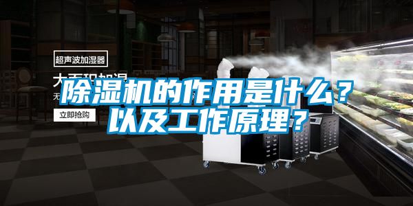 除濕機的作用是什么？以及工作原理？
